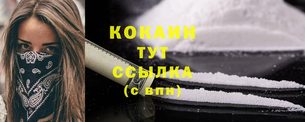 прущие крисы Киренск