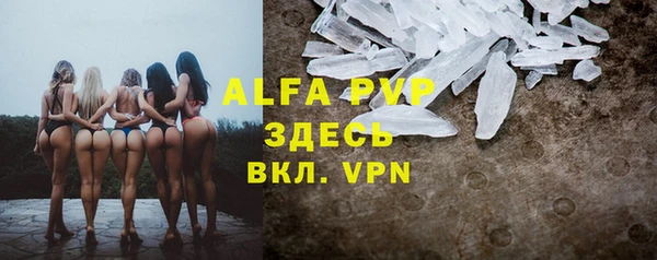 прущие крисы Киренск