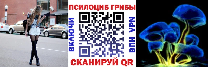 Купить где  Сретенск  Галлюциногенные грибы Psilocybine cubensis 