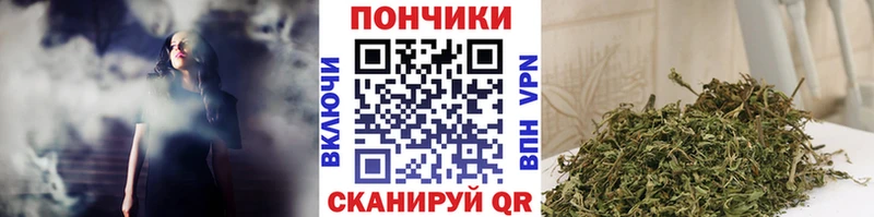 Каннабис сатива  Купить  Сретенск 